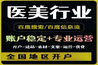 SEM公司案例分析：搜索引擎优化策略与执行